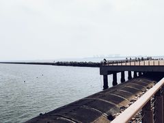 -东疆建设开发纪念公园