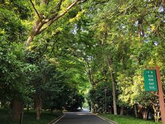 -南京东郊国宾馆