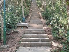 -梧桐山风景名胜区