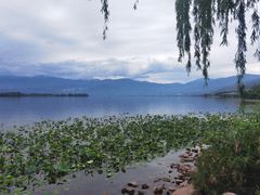 -西昌邛海湿地