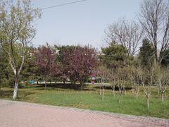 -石家庄市动物园