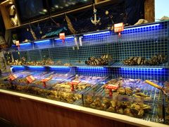 -必点海鲜·鲅鱼水饺(鞍山西道店)