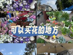 -三圣花乡旅游区