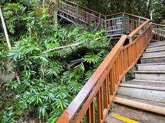 -三亚亚龙湾人间天堂鸟巢度假村