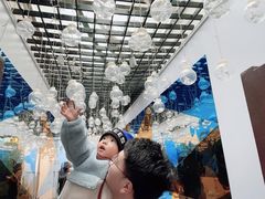 -后海16号·北京私房菜