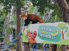 -灵玲国际马戏城