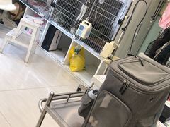 -悦宠动物医院(京丰分院)