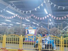 -南宫五洲植物乐园