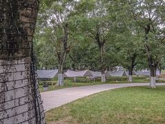 -秀丽东方