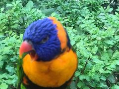 -南宫五洲植物乐园