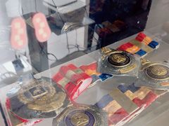 -花环泰拳·勒德斯拉泰拳馆(静安店)