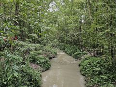 -桤木河湿地公园