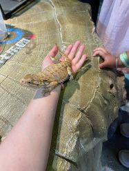 -酷嗒动物文化乐园(cutezoo西溪乐天城店)