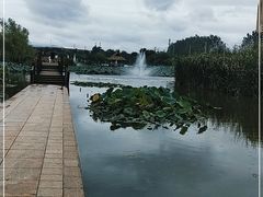 -前关湿地公园