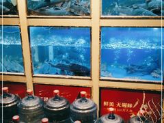 水产区-老阿爸鲜鱼土菜(昆山花桥店)
