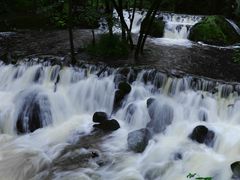 -牛背梁国家森林公园