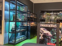 -FAIRYLAND龙族星球主题餐厅(凯丹广场店)