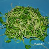 鸡胗拌豆苗