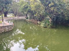 -人民公园(罗湖区)