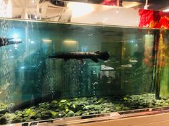门面-衡山汇·高级粤菜(霄云路店)
