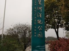-九里河湿地公园