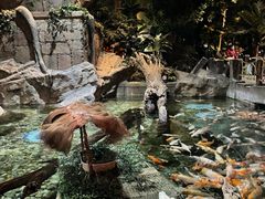 -北京海洋馆