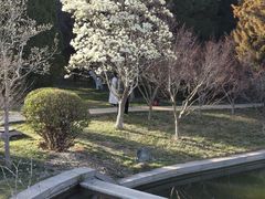 -济南南郊宾馆
