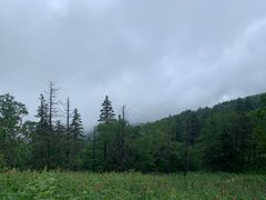 -凤凰山国家森林公园