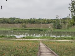 -洨河生态公园