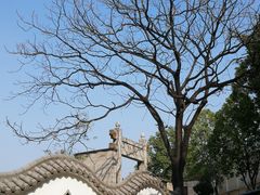 -广州神农草堂中医药博物馆