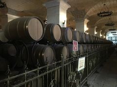 -北京张裕爱斐堡酒庄