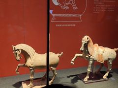 -陕西历史博物馆