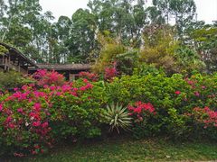 -深圳国际园林花卉博览园