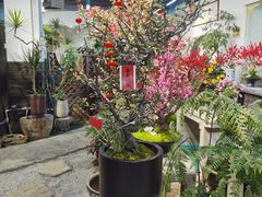 -双季花艺园艺市场(浦东店)