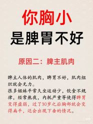 点击看大图 -玛莲朵·海菲秀冰珀科