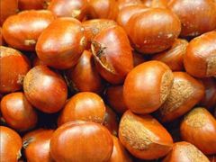 -粒上皇(五岭店)