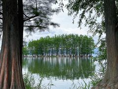 -大理洱海