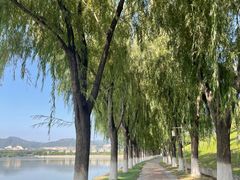 -青龙湖公园
