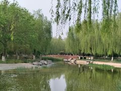 -丰台科技园生态主题公园