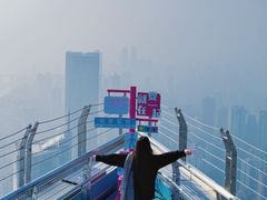 -WFC会仙楼观景台