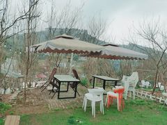 -玫瑰庄园·自助烧烤·烤全羊·团建拓展(龙泉山店)