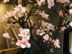 -新盈光·旗舰店(海曙苍松路店)
