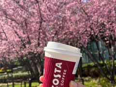 -COSTA COFFEE(上海虹口公园店)