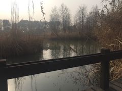 -梁鸿国家湿地公园