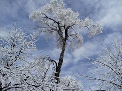 -张家界天门山国家森林公园