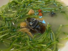 -鸿达渔港