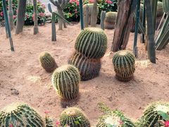 -石家庄市植物园