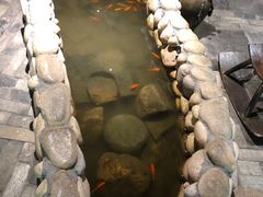 -馬蘭花開(车站大道店)