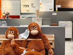 -宜家家居(四元桥商场店)