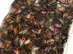 -拙味兄弟龙虾·江湖菜(和畅堂店)